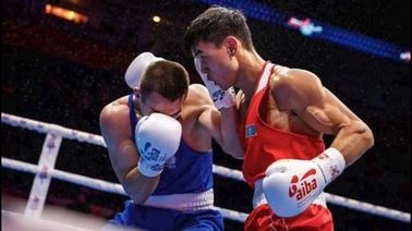 Декабрь 2025 спортивные разборки в мире бокса и борьбы