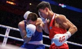 Декабрь 2025 спортивные разборки в мире бокса и борьбы