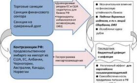 Влияние внешнеэкономических санкций на политику России.