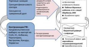 Влияние внешнеэкономических санкций на политику России.